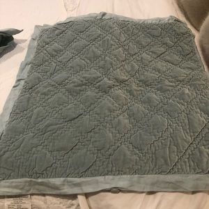 2 Quilted velvet Pottery Barn Euro Shams